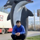 ���������� ���������, ���� ������� ������, 33 ����, ������������ ��� ������, ����� � ���������