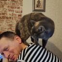 ���������� ������, ���� ������� ���������, 44 ����, ������������ ��� ������, ����� � ���������, c�������� ���������