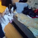 ���������� ��������, ���� ������� ������, 30 ���, ������������ ��� ������, ����� � ���������, c�������� ���������, ���������