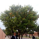  -,   , 64 ,   