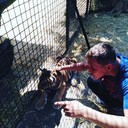 ���������� ���������, ���� ������� ���, 40 ���, ������������ 