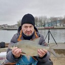 ���������� �����, ���� ������� ��������, 55 ���, ������������ ��� ����� � ���������