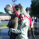 ���������� ������� ��������, ���� ������� ����, 45 ���, ������������ ��� ������, ����� � ���������, c�������� ���������