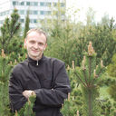 ���������� ������, ���� ������� Analgin, 42 ����, ������������ 