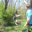  ,   , 41 ,   ,   , c 