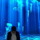 ���������� ������, ���� ������� �����, 44 ����, ������������ ��� ������, ����� � ���������, c�������� ���������