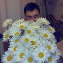  ,   , 55 ,   