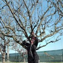 ���������� ������, ���� ������� ���������, 63 ����, ������������ ��� ����� � ���������, c�������� ���������