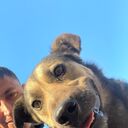 ���������� ����������, ���� ������� ����, 33 ����, ������������ ��� ������, ����� � ���������, c�������� ���������, ���������