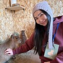 ���������� �����������, ���� ������� ���, 30 ���, ������������ ��� ���������