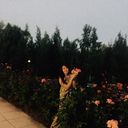 ���������� ������, ���� ������� ��������, 41 ���, ������������ ��� ����� � ���������, c�������� ���������