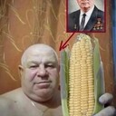 ���������� ����, ���� ������� ���, 35 ���, ������������ ��� ������, ����� � ���������, c�������� ���������