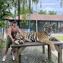  ,   , 40 ,   ,   