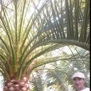 ���������� ��������, ���� ������� �������, 43 ����, ������������ 