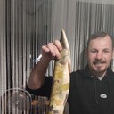  ,   , 43 ,   ,   