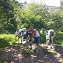 ���������� ������������, ���� ������� �����, 38 ���, ������������ ��� ������, ����� � ���������, c�������� ���������