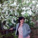 ���������� �����, ���� ������� ������, 56 ���, ������������ ��� ����� � ���������, c�������� ���������, ���������