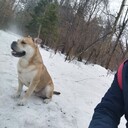 ���������� ������, ���� ������� Anton, 34 ����, ������������ ��� ������, ����� � ���������