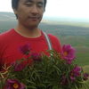  ,   , 41 ,   ,   , c , 