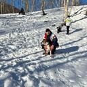  -,   , 41 ,   ,   , c 