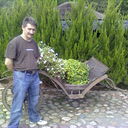  ,   Tarzan, 54 ,   