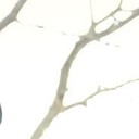  ,   Ht_Thompson, 40 ,   ,   , c 