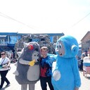 ���������� ����, ���� ������� �����, 36 ���, ������������ ��� ������, ����� � ���������, c�������� ���������, ���������