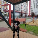 ���������� ������, ���� ������� �������, 33 ����, ������������ ��� ������, ����� � ���������, c�������� ���������