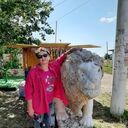  ,   , 58 ,   c 