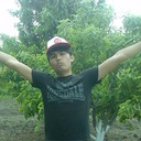  ,   JOKR UZB, 31 ,   ,   , c , 