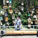 ���������� ����, ���� ������� �������, 44 ����, ������������ ��� ������, ����� � ���������, c�������� ���������