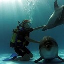 ���������� ����, ���� ������� ����, 46 ���, ������������ ��� ������, ����� � ���������, c�������� ���������, ���������