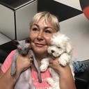 ���������� �������, ���� ������� �����, 61 ���, ������������ 