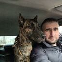 ���������� �����������, ���� ������� Alexander, 36 ���, ������������ ��� ������, ����� � ���������, ���������