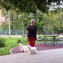  ,   , 61 ,     