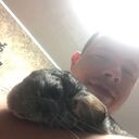  ,   , 33 ,   ,   