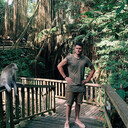 ���������� ���, ���� ������� ������, 33 ����, ������������ ��� ����� � ���������, c�������� ���������, ���������