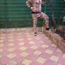  ,   , 70 ,   c 