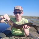 ���������� �������, ���� ������� ������, 43 ����, ������������ ��� ������, ����� � ���������, c�������� ���������