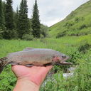 ���������� ������, ���� ������� �������, 61 ���, ������������ ��� ����� � ���������, c�������� ���������