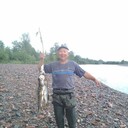  -,   , 54 ,   ,   , c 