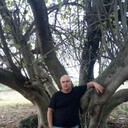  ,   , 53 ,   c 