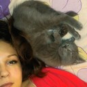  ,   , 29 ,   ,   , c , 