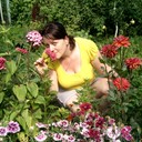 ���������� �����, ���� ������� ����, 51 ���, ������������ ��� ����� � ���������, c�������� ���������