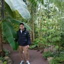 ���������� �����-���������, ���� ������� �������, 37 ���, ������������ ��� ����� � ���������, c�������� ���������