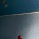 ���������� �����-���������, ���� ������� ����, 53 ����, ������������ ��� ������, ����� � ���������