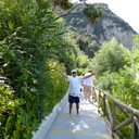 ���������� ������, ���� ������� Www, 65 ���, ������������ ��� ����� � ���������, c�������� ���������