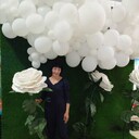 ���������� ���������, ���� ������� �����, 35 ���, ������������ ��� c�������� ���������