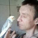 ���������� �������, ���� ������� ����, 35 ���, ������������ ��� ������, ����� � ���������, c�������� ���������