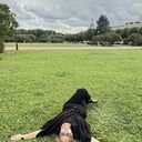 ���������� �����-���������, ���� ������� ����, 62 ����, ������������ ��� ���������